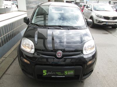 Fiat Panda Gebrauchtwagen