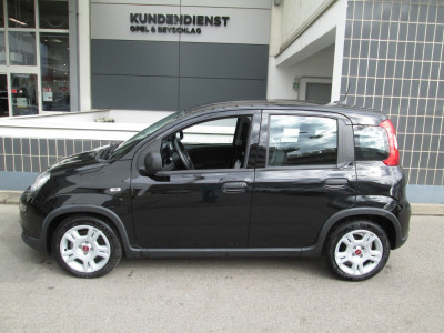Fiat Panda Gebrauchtwagen