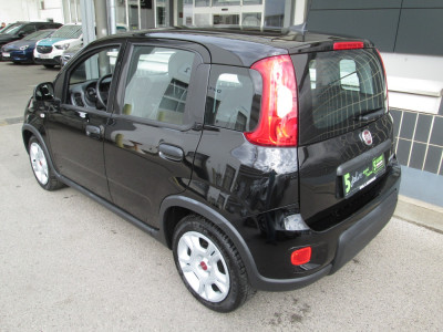 Fiat Panda Gebrauchtwagen