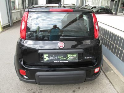 Fiat Panda Gebrauchtwagen