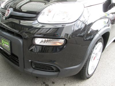 Fiat Panda Gebrauchtwagen
