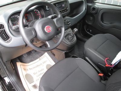 Fiat Panda Gebrauchtwagen