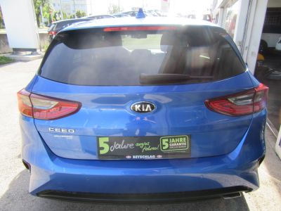 KIA Ceed Gebrauchtwagen