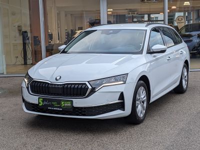 Skoda Octavia Gebrauchtwagen