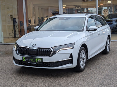 Skoda Octavia Gebrauchtwagen