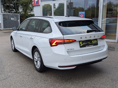 Skoda Octavia Gebrauchtwagen