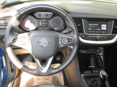 Opel Grandland X Gebrauchtwagen