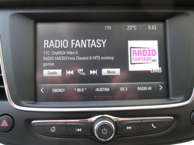 Opel Grandland X Gebrauchtwagen