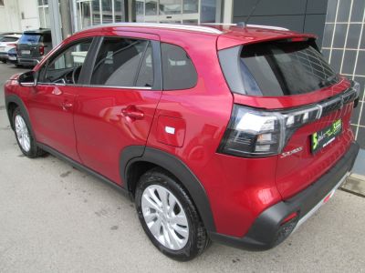Suzuki S-Cross Gebrauchtwagen