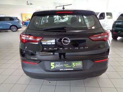 Opel Grandland Gebrauchtwagen