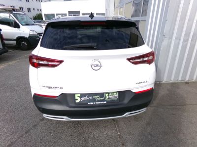 Opel Grandland X Gebrauchtwagen