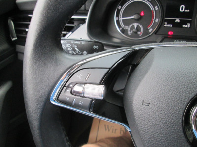 Skoda Kamiq Gebrauchtwagen