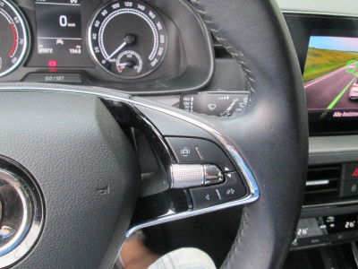 Skoda Kamiq Gebrauchtwagen