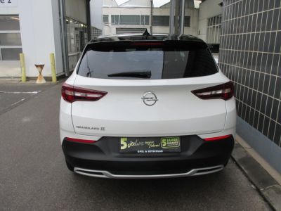 Opel Grandland X Gebrauchtwagen