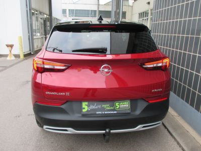 Opel Grandland X Gebrauchtwagen