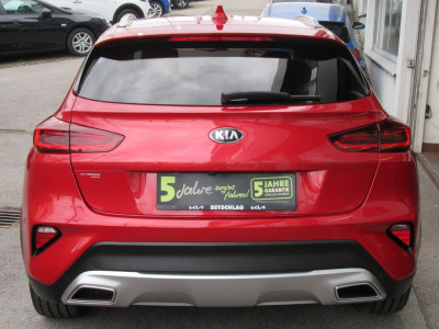 KIA XCeed Gebrauchtwagen