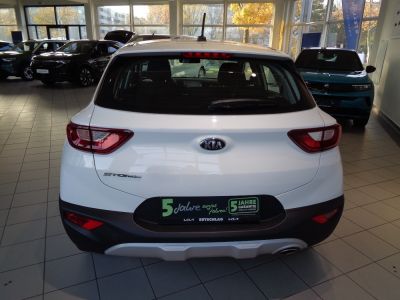 KIA Stonic Gebrauchtwagen