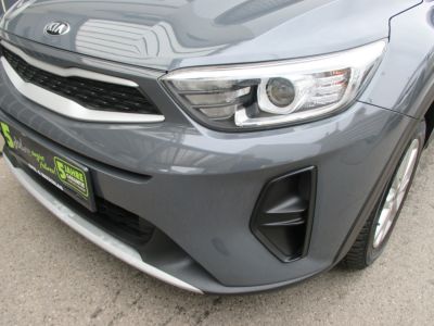KIA Stonic Gebrauchtwagen