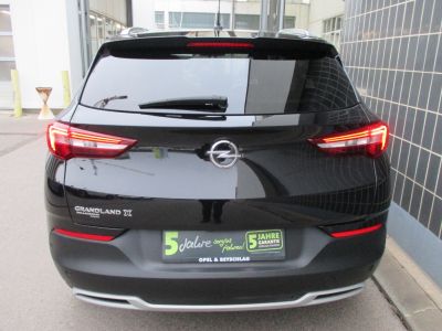 Opel Grandland X Gebrauchtwagen