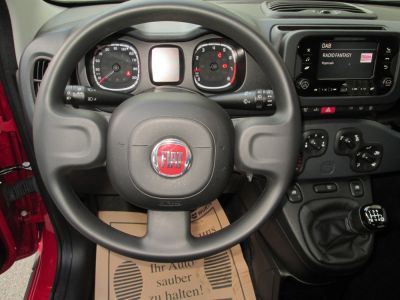 Fiat Panda Gebrauchtwagen