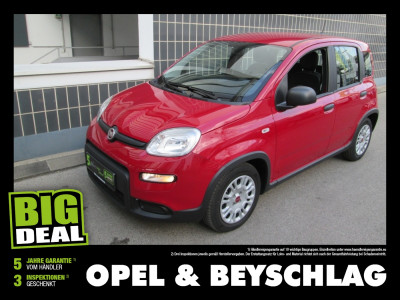 Fiat Panda Gebrauchtwagen