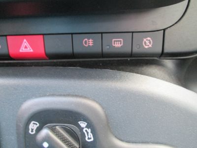 Fiat Panda Gebrauchtwagen