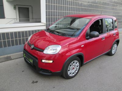 Fiat Panda Gebrauchtwagen