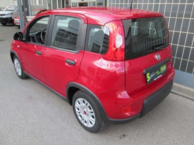 Fiat Panda Gebrauchtwagen