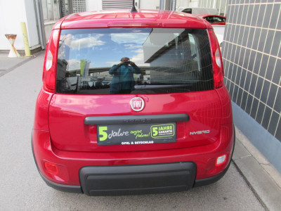Fiat Panda Gebrauchtwagen