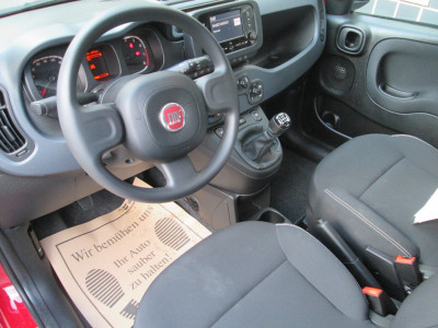 Fiat Panda Gebrauchtwagen