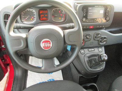 Fiat Panda Gebrauchtwagen