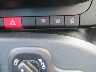 Fiat Panda Gebrauchtwagen