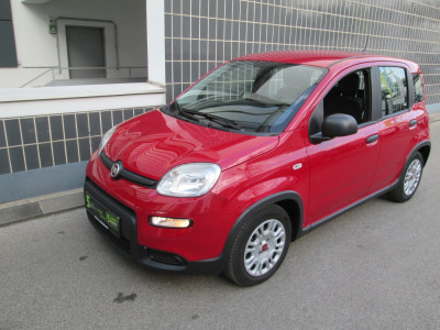 Fiat Panda Gebrauchtwagen