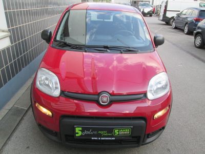 Fiat Panda Gebrauchtwagen