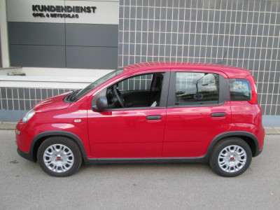 Fiat Panda Gebrauchtwagen
