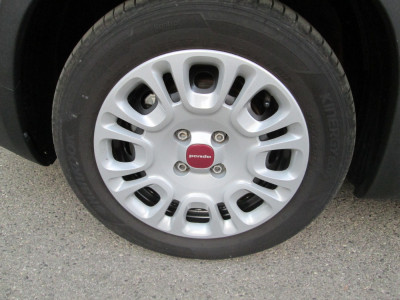 Fiat Panda Gebrauchtwagen