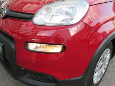 Fiat Panda Gebrauchtwagen