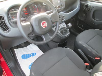 Fiat Panda Gebrauchtwagen