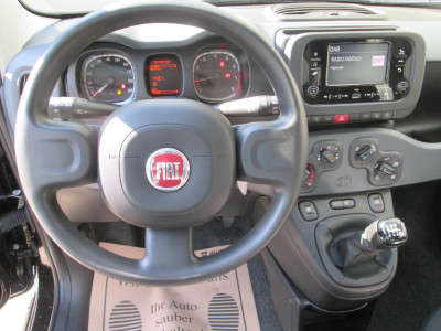 Fiat Panda Gebrauchtwagen
