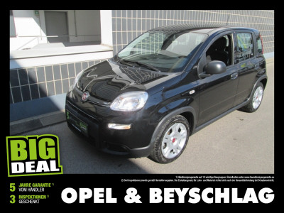 Fiat Panda Gebrauchtwagen