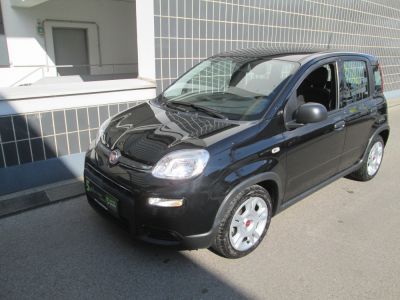 Fiat Panda Gebrauchtwagen