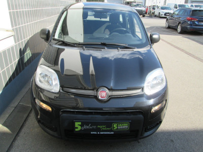 Fiat Panda Gebrauchtwagen