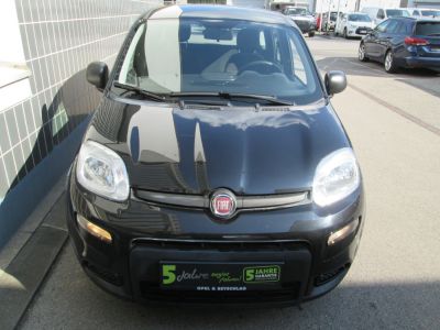 Fiat Panda Gebrauchtwagen