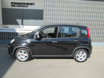 Fiat Panda Gebrauchtwagen