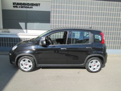 Fiat Panda Gebrauchtwagen