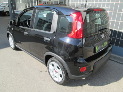 Fiat Panda Gebrauchtwagen