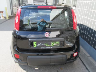 Fiat Panda Gebrauchtwagen