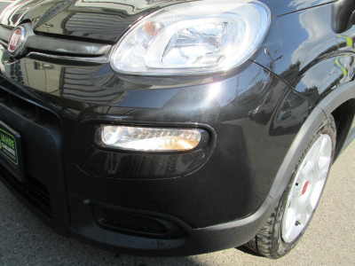 Fiat Panda Gebrauchtwagen