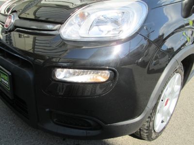 Fiat Panda Gebrauchtwagen