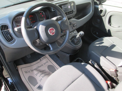 Fiat Panda Gebrauchtwagen